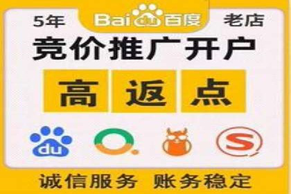竞价推广成功案例解析